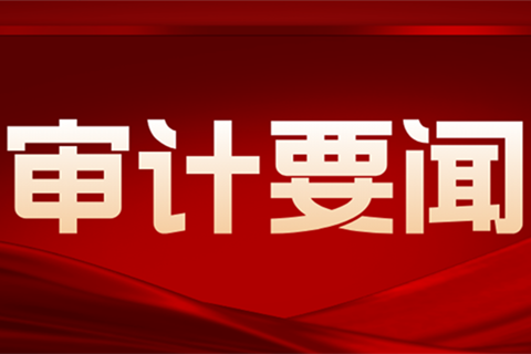 王偉中出席全省審計工作電視電話會議並到省審計廳調研 以高質量審計監督為中國式現代化的廣東實踐保駕護航