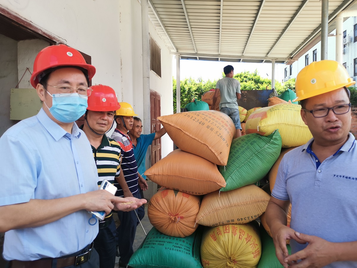 省糧食和儲備局黨組成員、副局長吳津偉帶隊前往雲浮羅定市督導調研9fb09211c3d24912b29c8e3ba4a67671.jpg