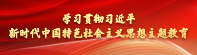 學習貫徹習近平新時代中國特色社會主義思想主題教育